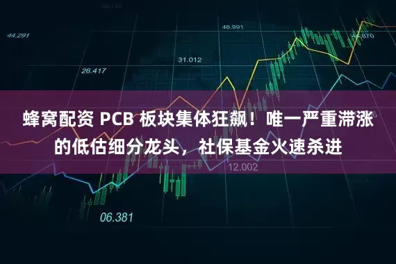 蜂窝配资 PCB 板块集体狂飙！唯一严重滞涨的低估细分龙头，社保基金火速杀进